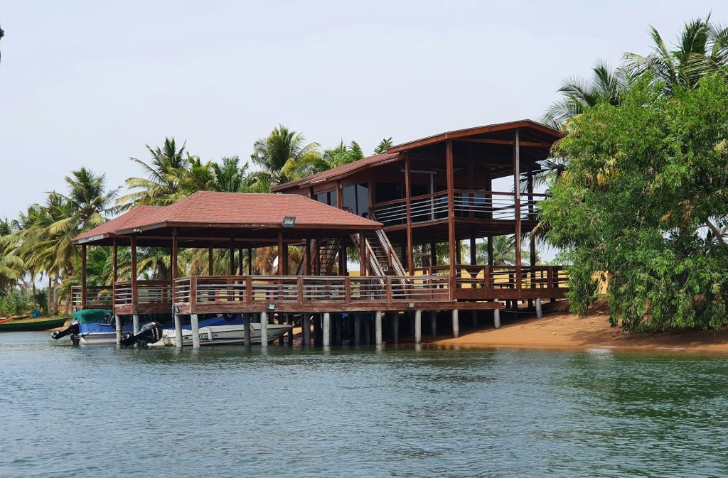 The Seaweed-Line Retreat