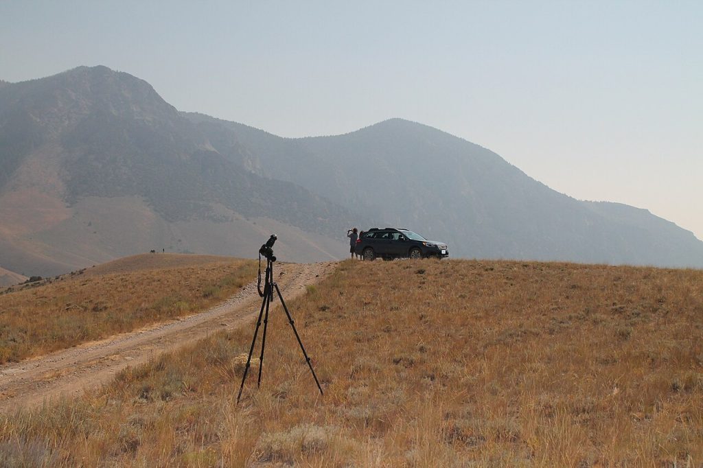 Salmon-Challis National Forest, Idaho