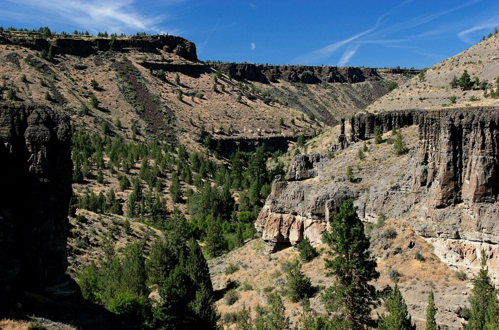 Ochoco National Forest, Oregon