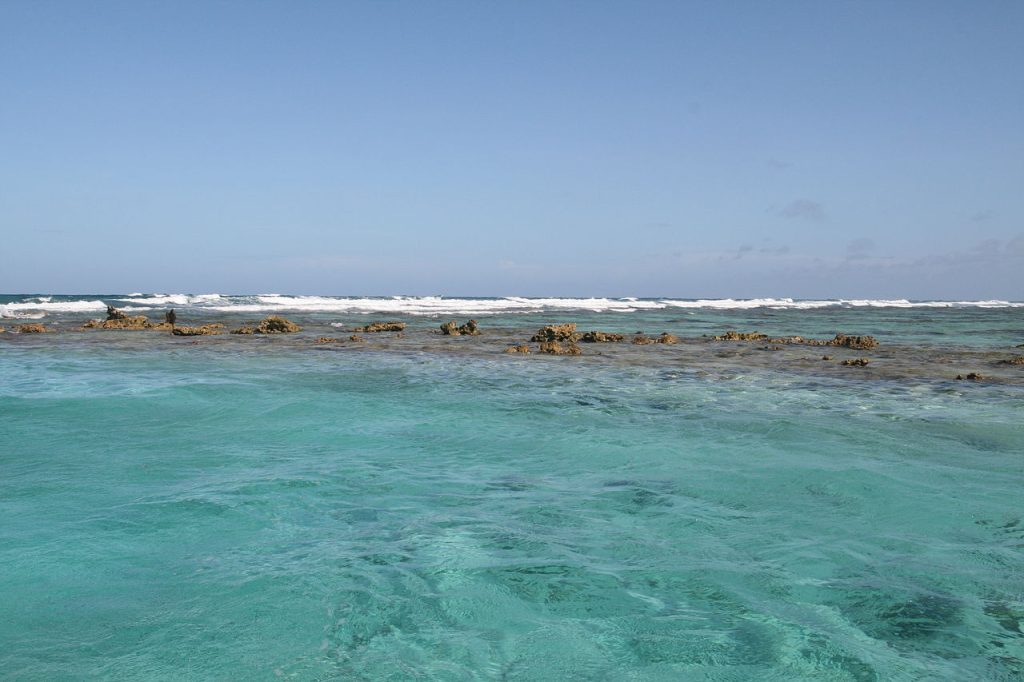 10.বেলিজ ব্যারিয়ার রিফ রিজার্ভ সিস্টেম