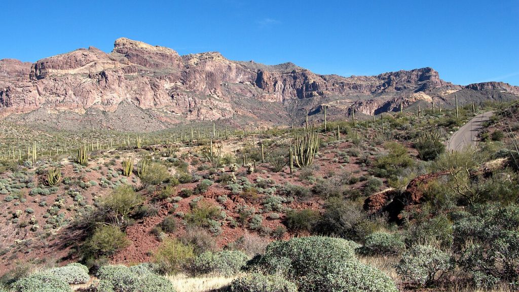 Ajo Mountain Drive at Organ Pipe, Arizona
