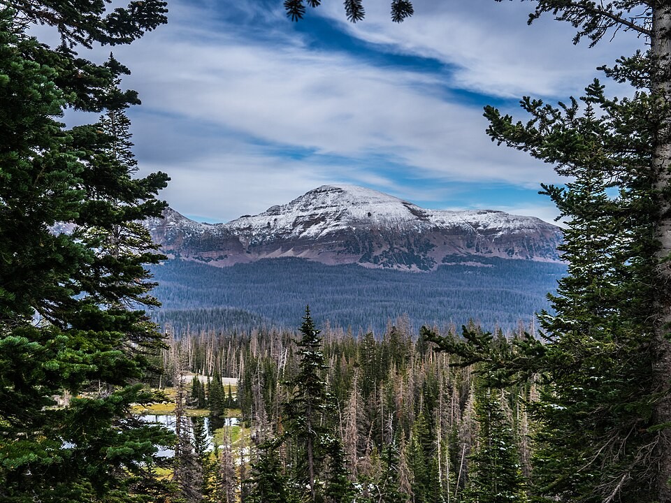 Uinta-Wasatch-Cache National Forest, Utah
