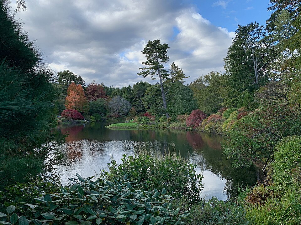 Asticou Azalea Garden, Northeast Harbor, Maine