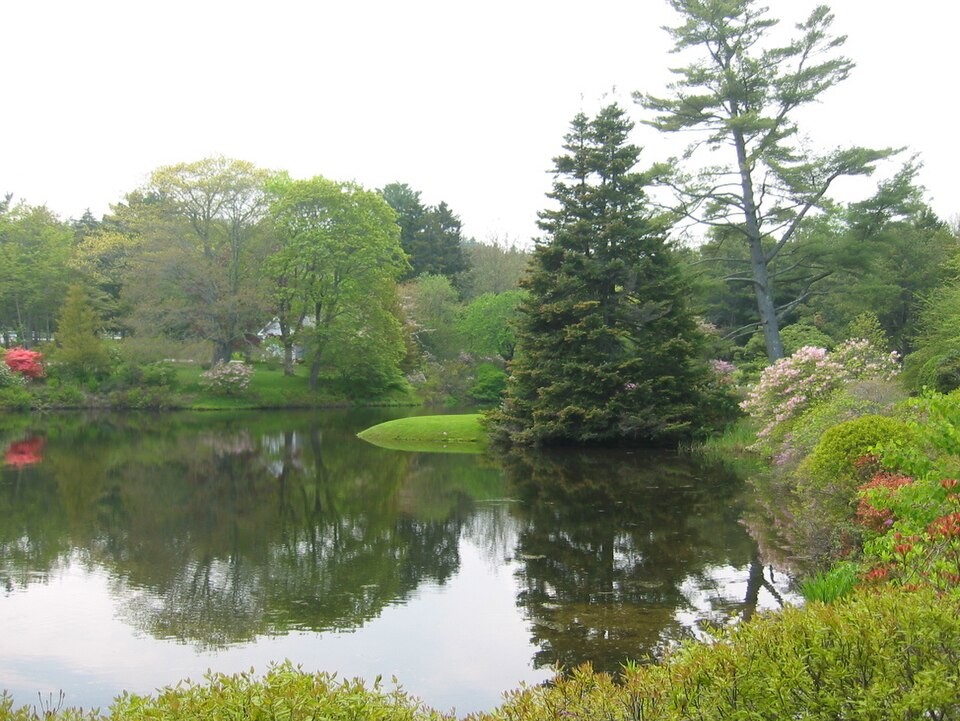 Asticou Azalea Garden, Maine
