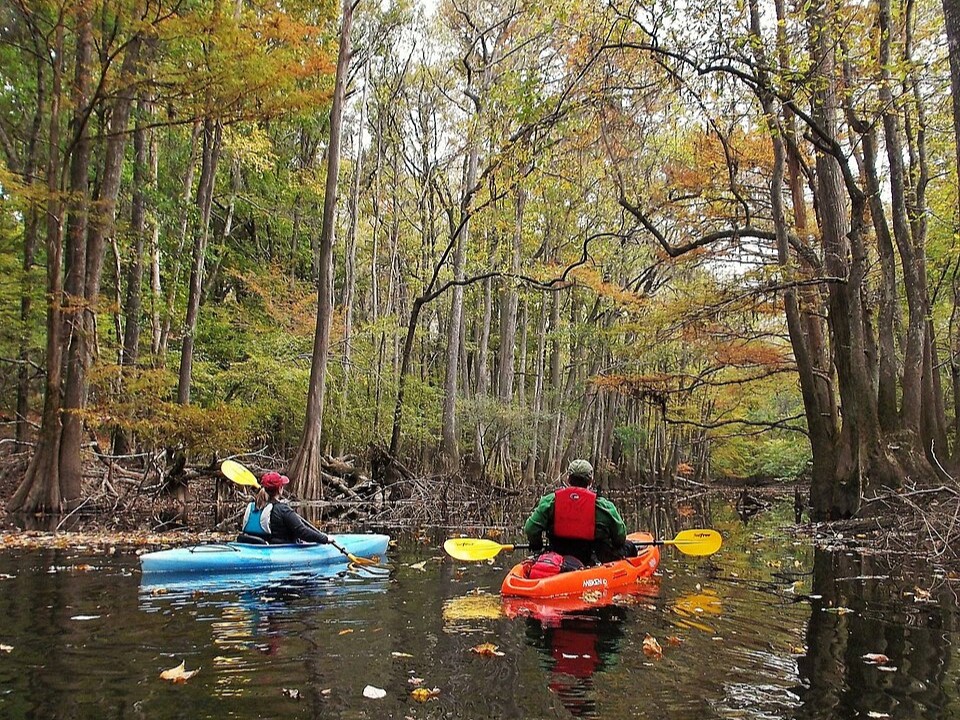 Congaree National Park, South Carolina