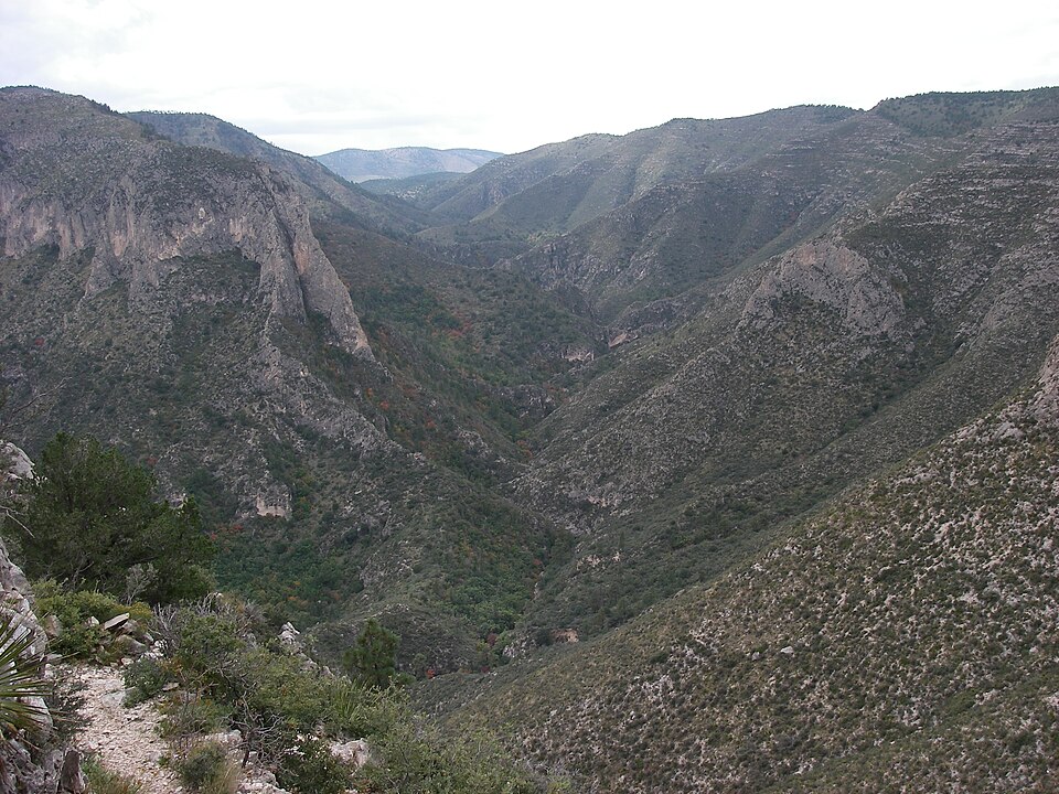 McKittrick Canyon Trail, Texas