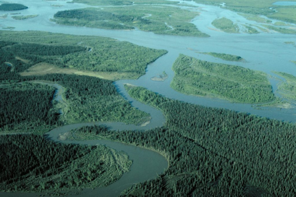 Noatak River In Alaska
