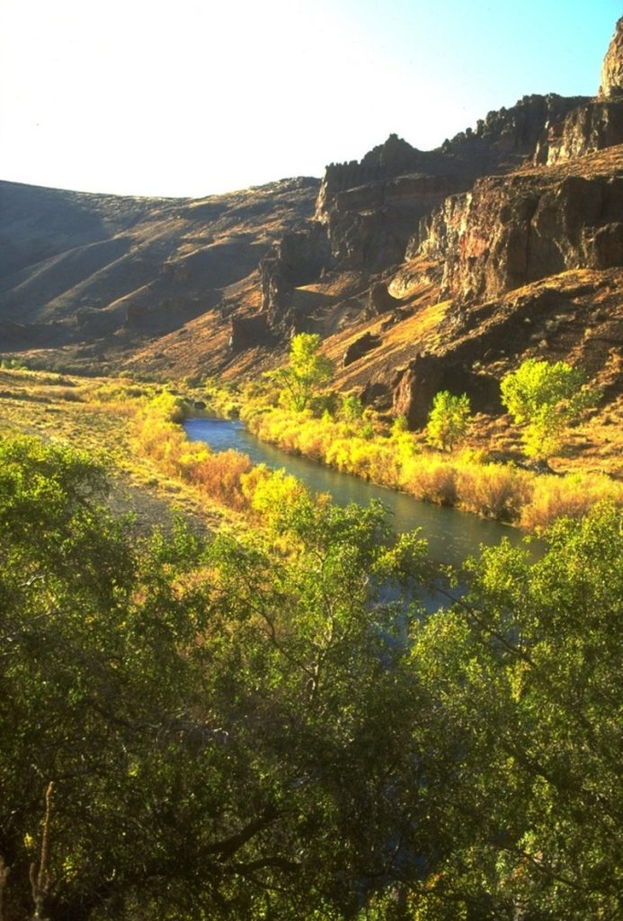 Owyhee River In Oregon
