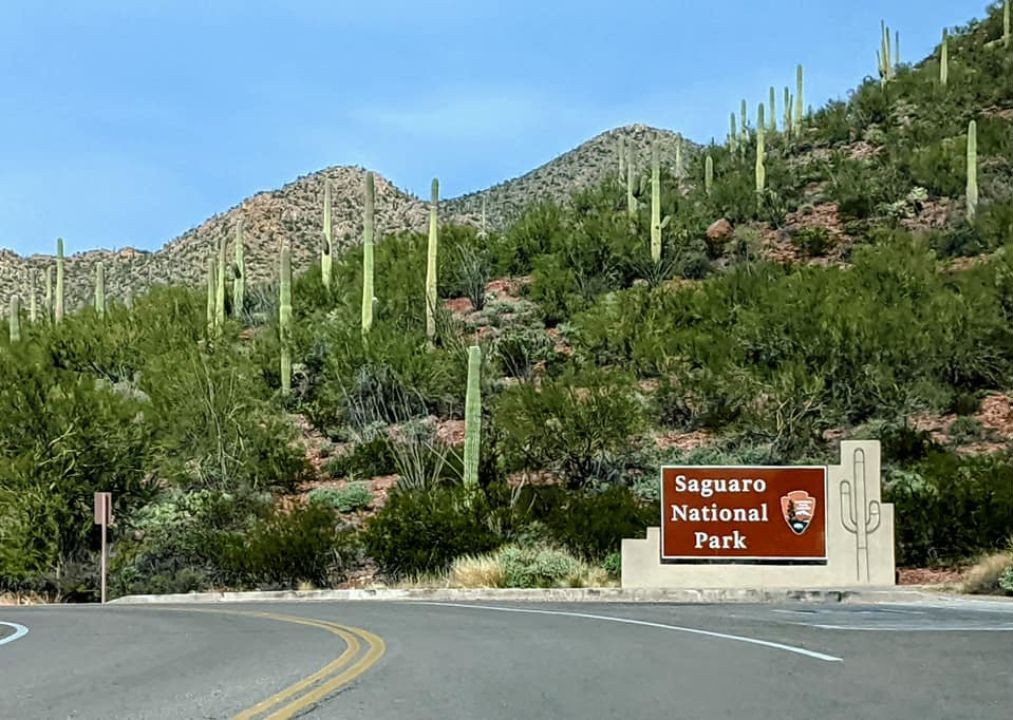 Saguaro Scenic Loops, Arizona