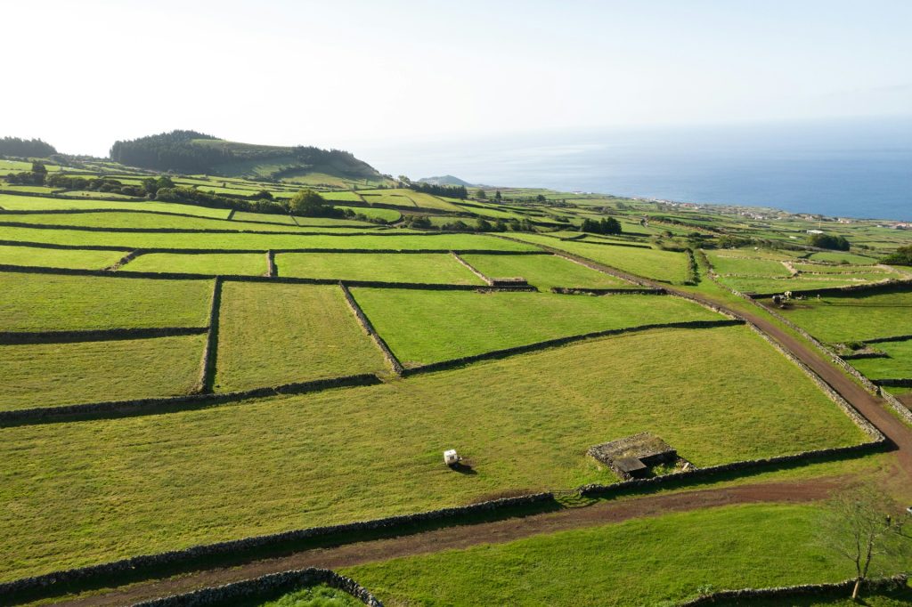 The Azores, Portugal, Where Green Feels Endless