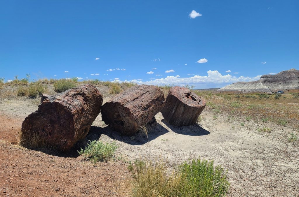 Petrified Forest National Park, Arizona