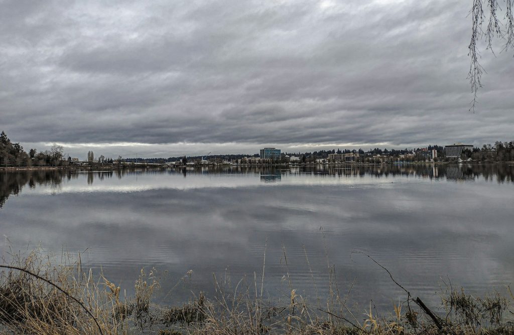Urban Lake After Heavy Rain and Runoff