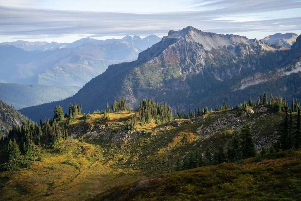 Mount Rainier National Park, Washington