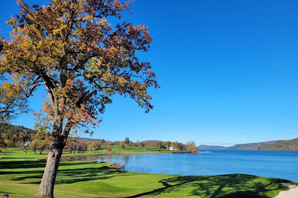 Park Lake With Mowed Lanes and Floating Clippings