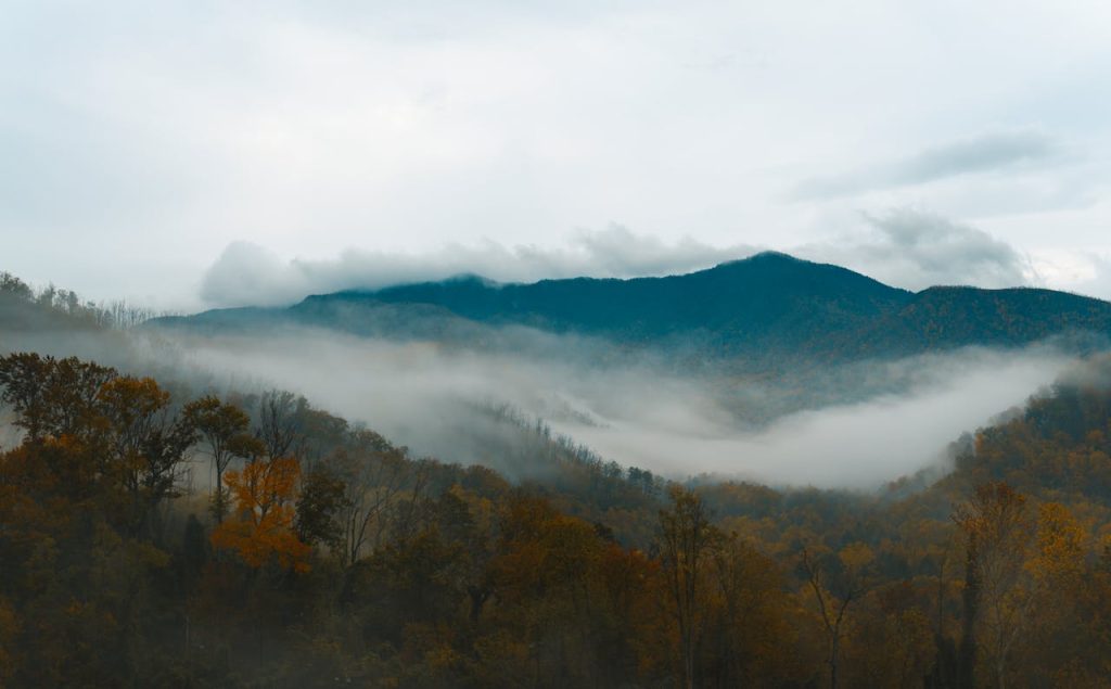 Great Smoky Mountains National Park, Tennessee and North Carolina