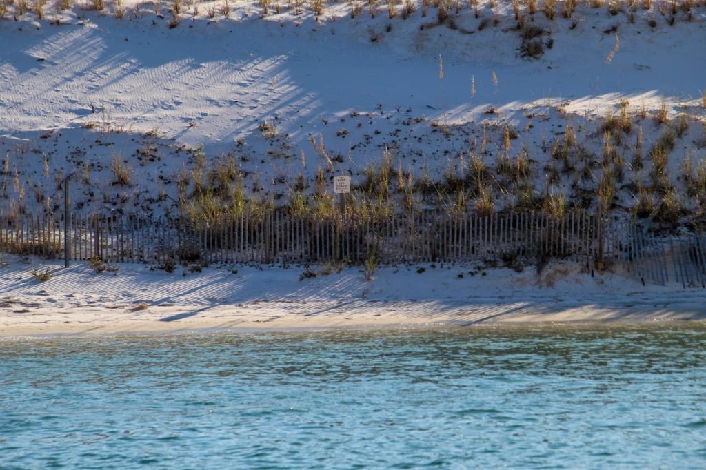 Brackish Bay Flat With Sea Grass Streaks