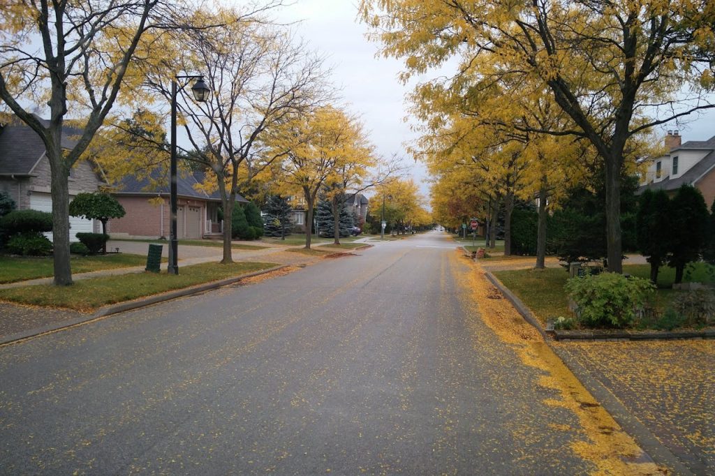 Great Residential Neighborhoods Can Look Boring