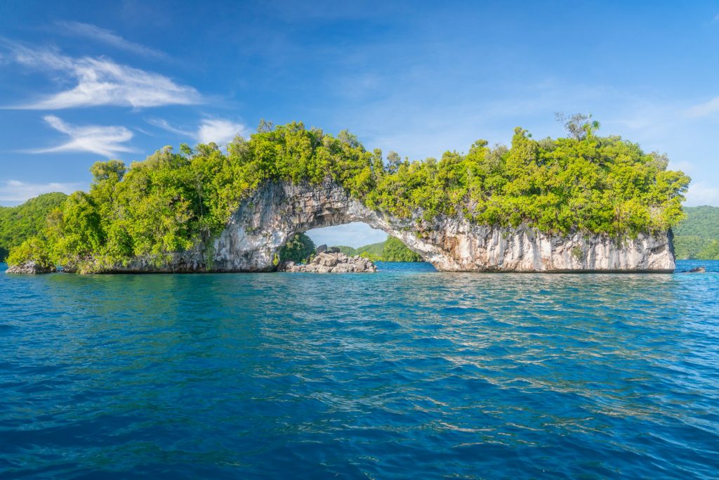 পালাউ এর অঙ্গীকার এবং ফি সুরক্ষা মডেল