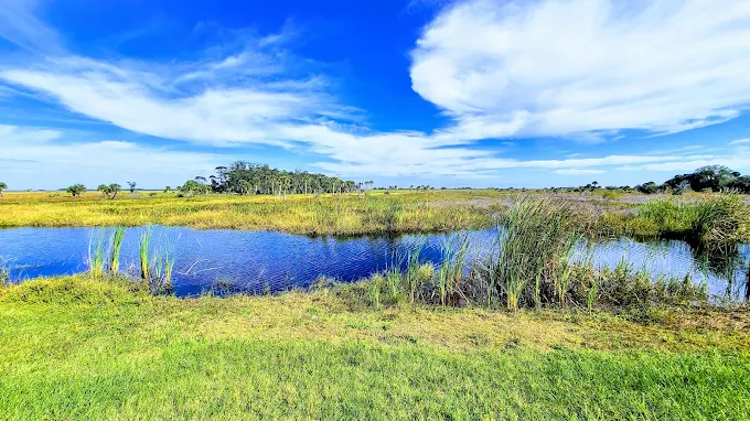 Kissimmee Prairie Preserve State Park In Florida