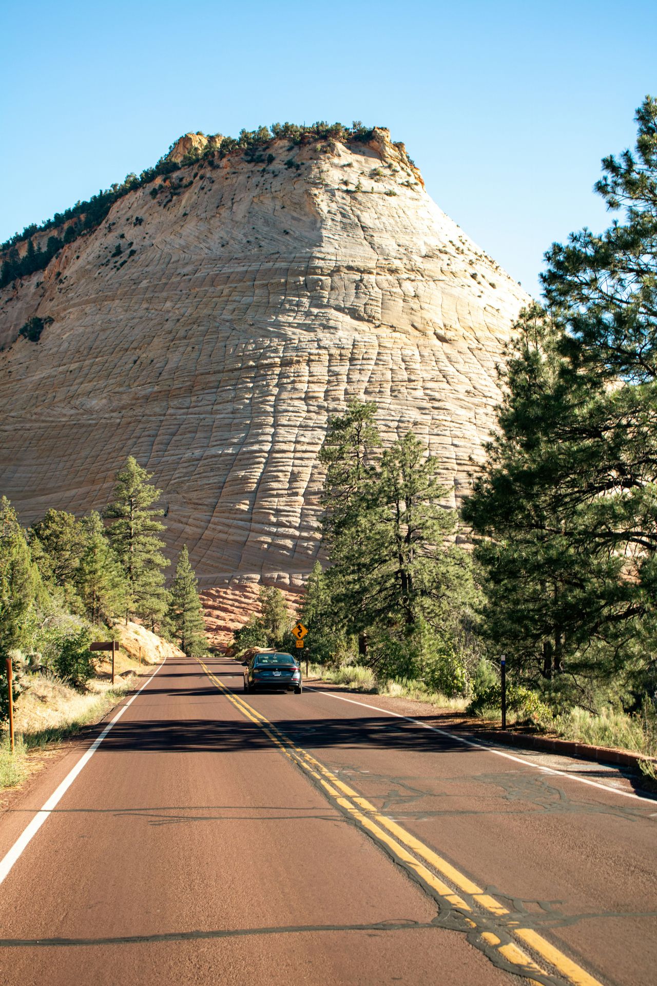 Zoshua Colah/Unsplash