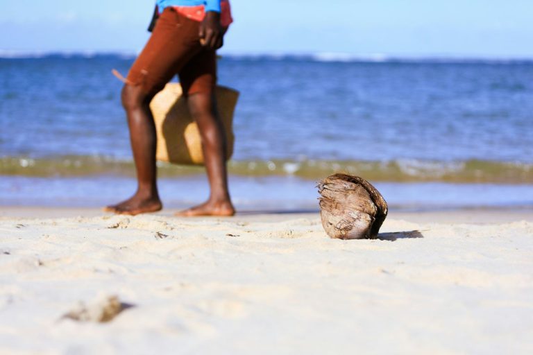 Beach Items You Could Get Fined for Collecting Without Knowing