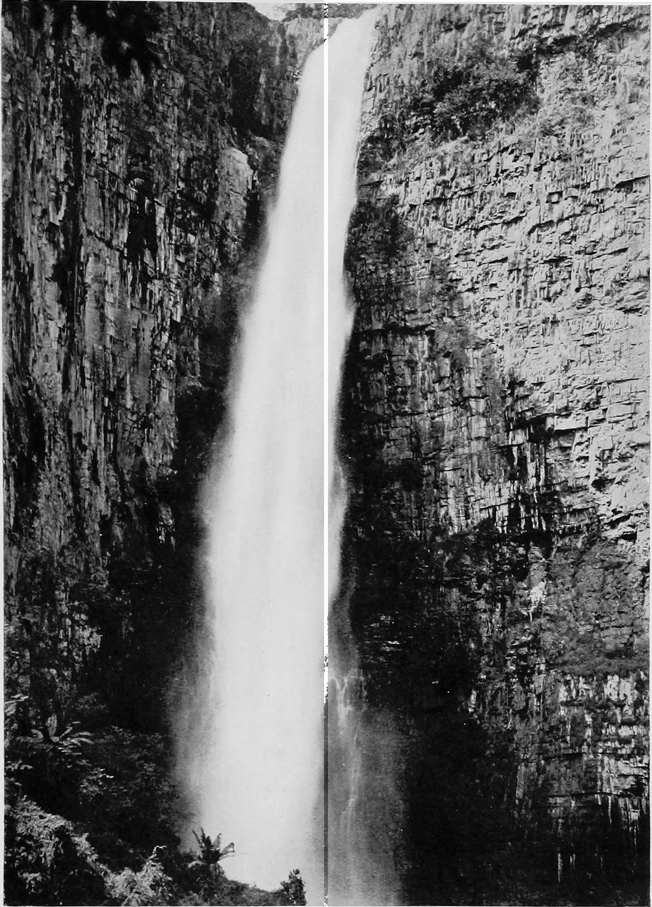 Internet Archive Book Images/Wikimedia Commons