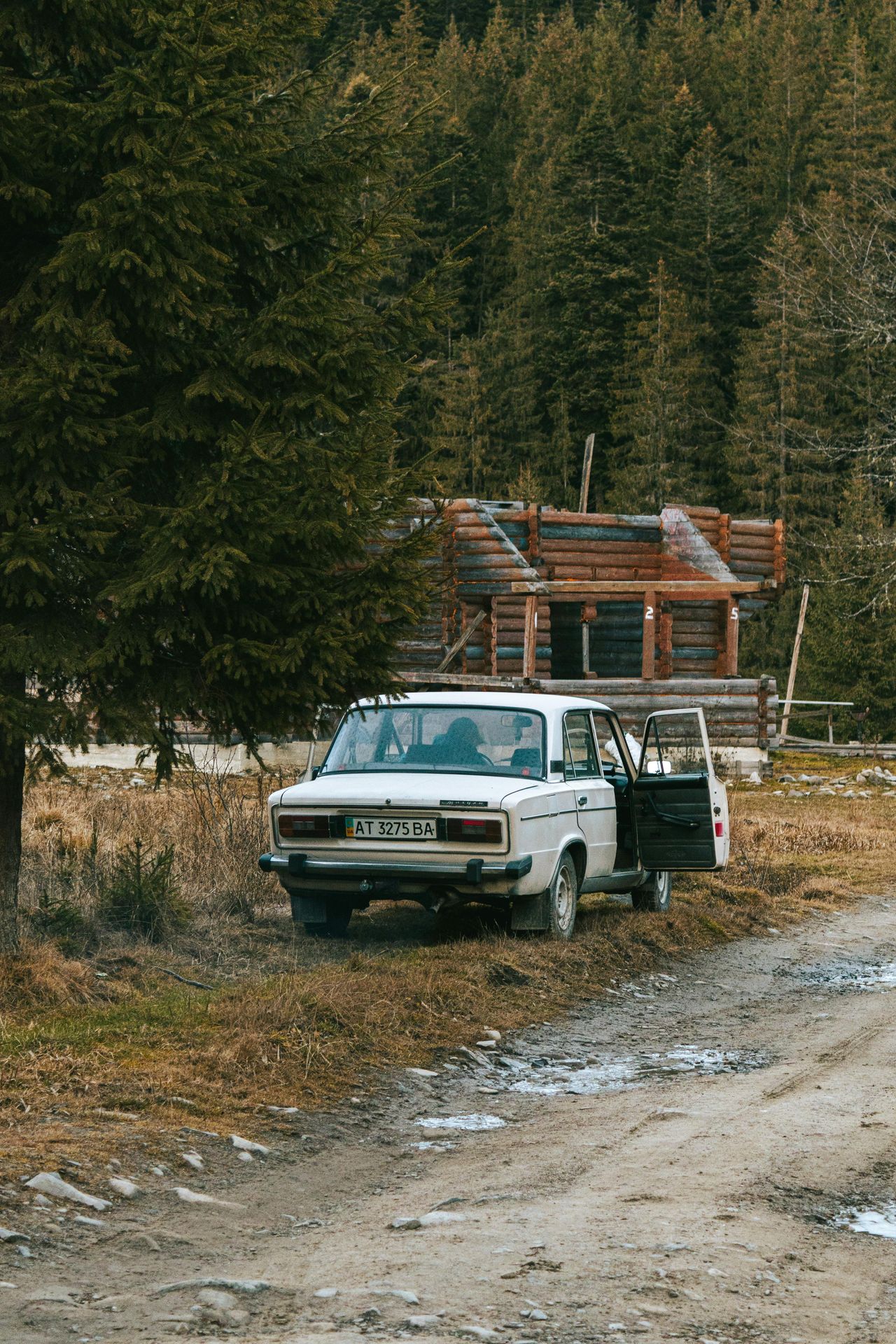 Daniel Eliashevsky/Pexels