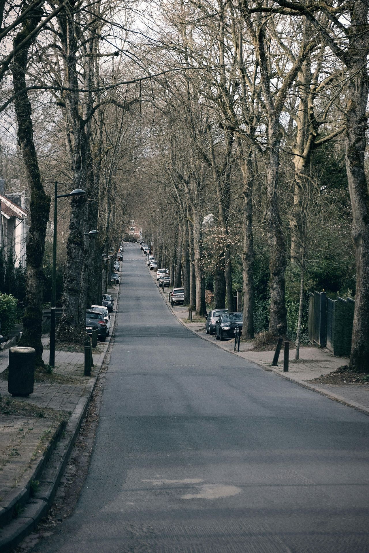 Mauricio  Krupka Buendia/Pexels