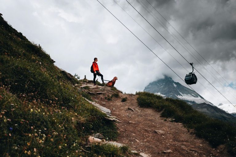 Hiking With Dogs? The 10,000-Foot Rule You Should Know