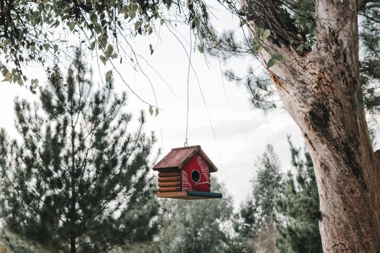 9 US Outdoor Destinations Where Hantavirus Risk Is Rising and What Travelers Need to Do Before They Go