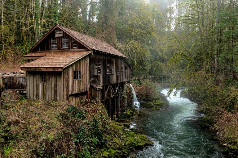 What Travelers Should Know About Hantavirus Before Booking Remote Cabins and Park Stays