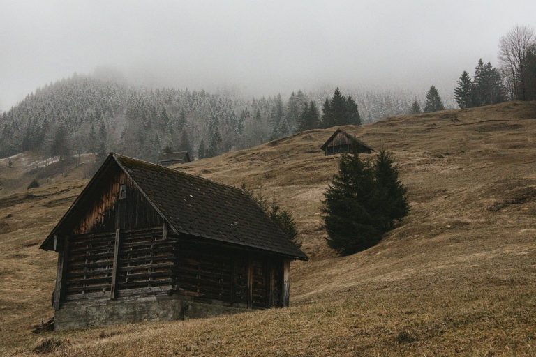15 Places Travelers Should Be Extra Careful About Rodent Exposure and Hantavirus Risks