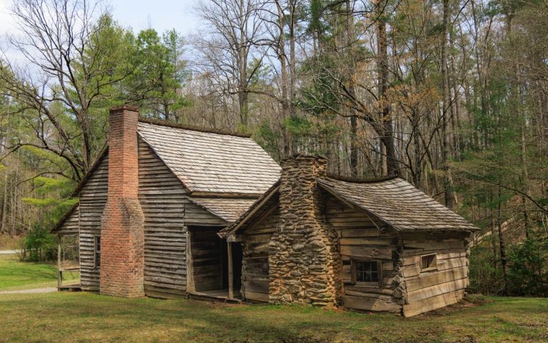 Why Recent Hantavirus Cases Are Making Travelers Rethink Rustic Getaways