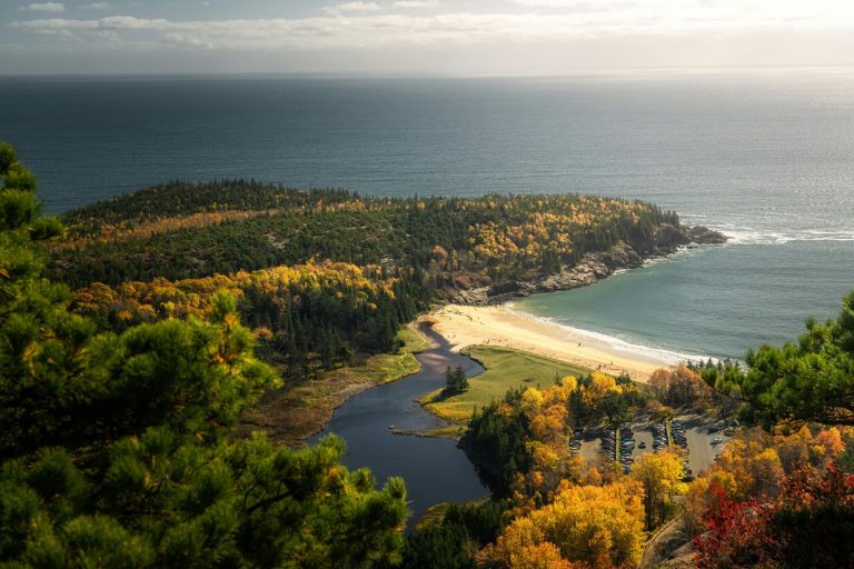 The US National Park That Is So Overcrowded Rangers Are Begging People to Stop Coming in Summer
