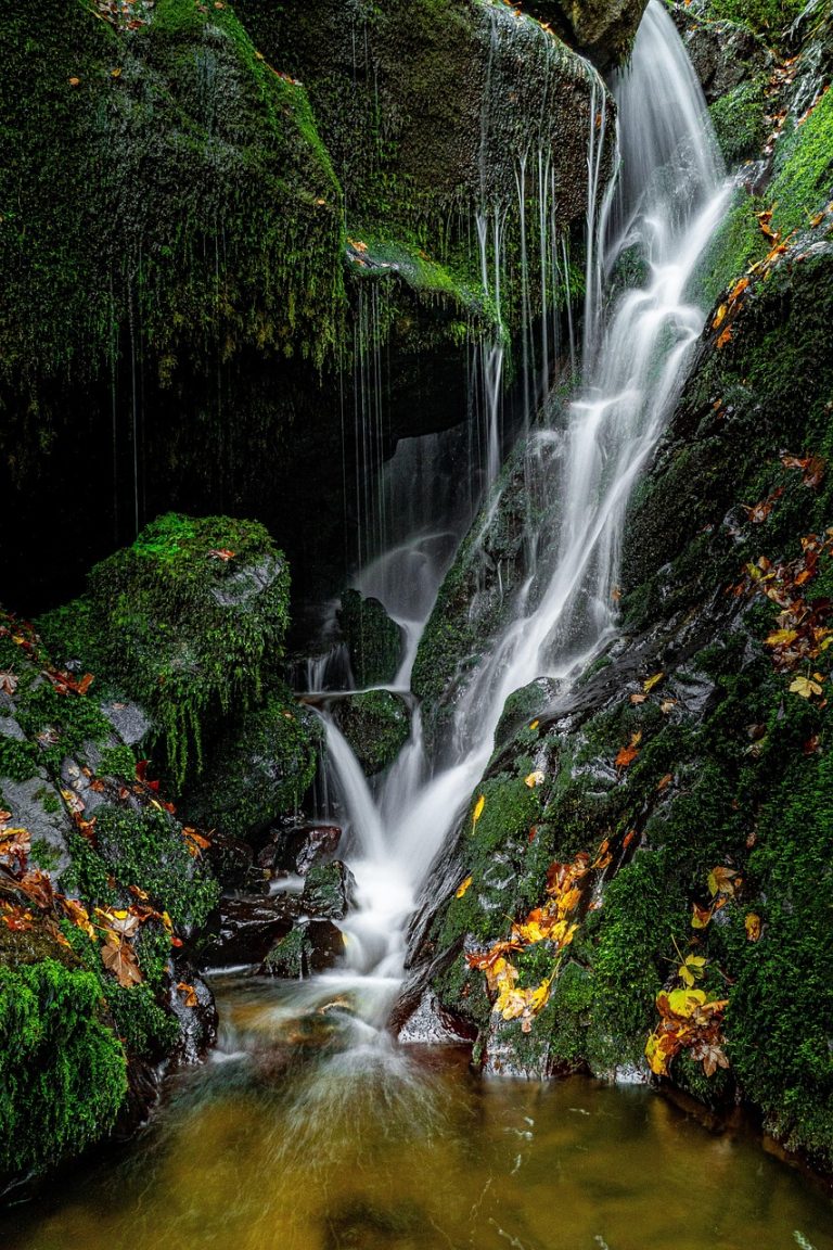 Tennessee Has a Waterfall You Can Walk Directly Behind and It Is the Only One Like It in the Entire Smoky Mountains