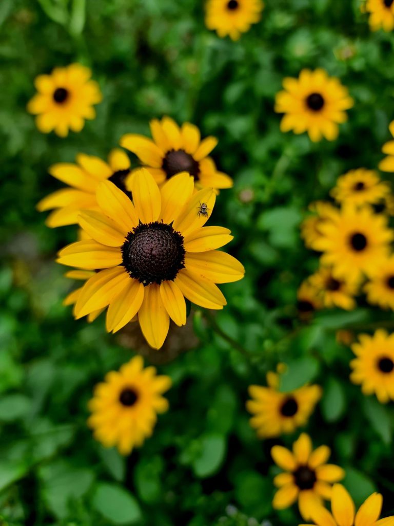 This Simple 70-30 Gardening Rule Can Make a Big Difference in Your Yard