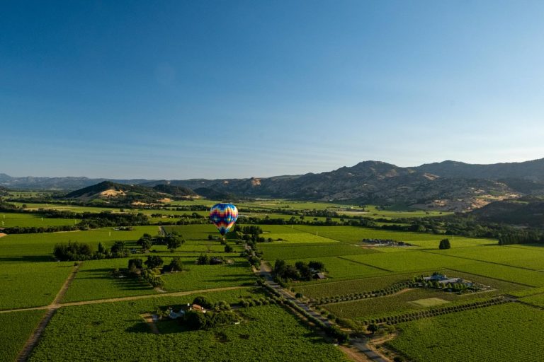 Christina Haack Is Calling This Wine Country Getaway Research and Honestly We Understand Why
