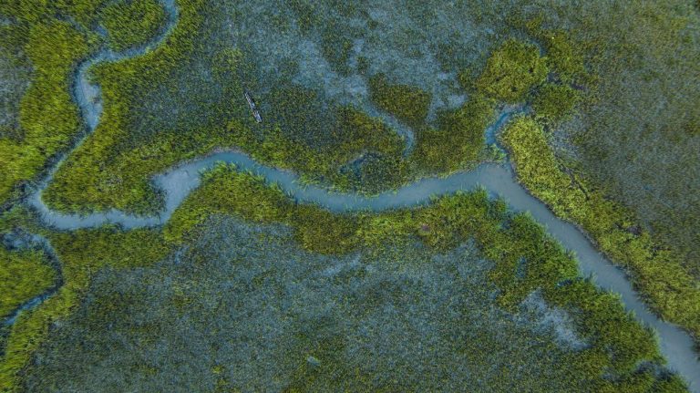 This South Carolina island has is unlike anything you have seen before and half its land is protected forever
