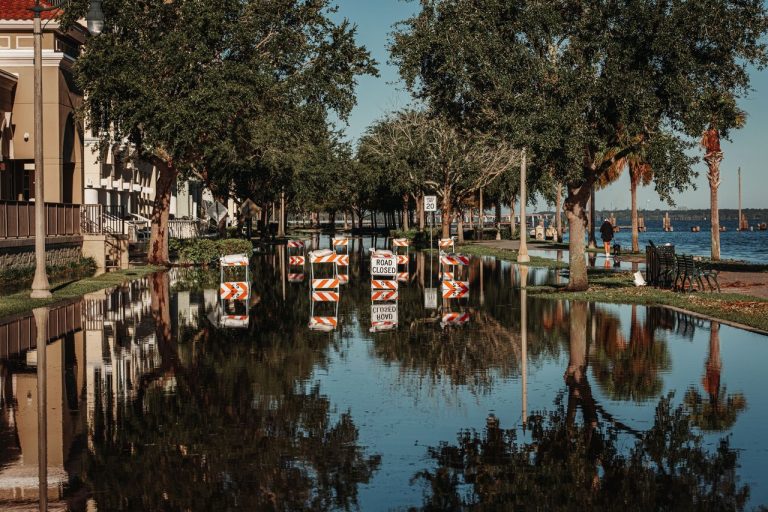 Florida Is Losing Its Appeal and Residents Are Not Staying Quiet About Why