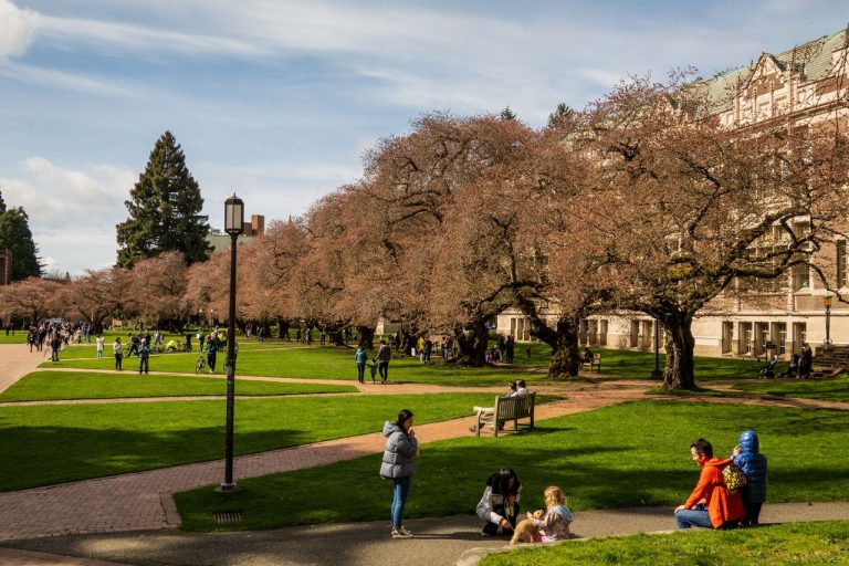 A Student’s Rejection of a Jewish Company Internship Is Heating Up Debates on College Campuses