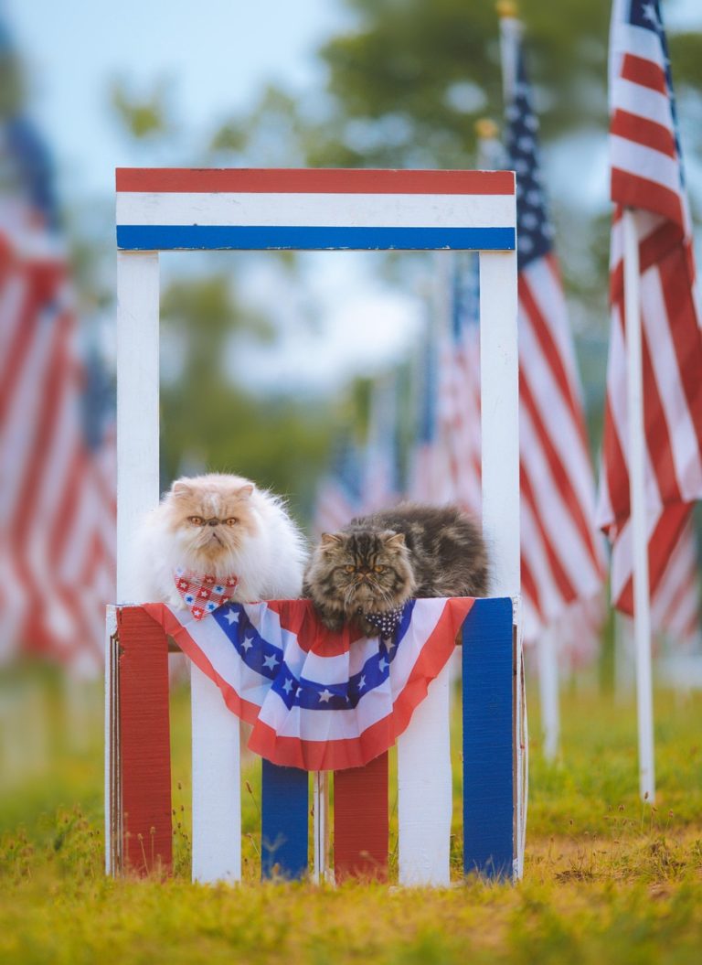 The Fourth of July Celebrations in Cities Across America From 50 Years Ago That Will Surprise Most Americans Today