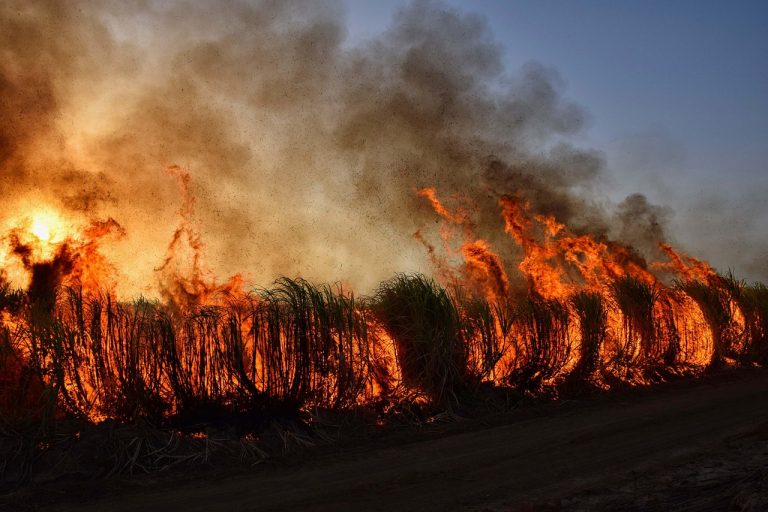 Wildfires are Raging on the Colorado Utah Border and These Are the Areas People Should Avoid