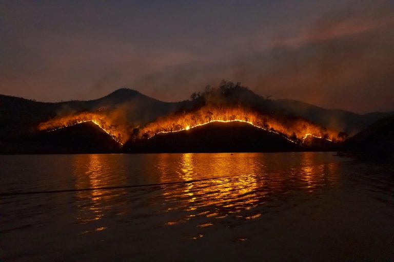 The 10 Deadliest Wildfires in American History and the Devastating Trails They Left Behind
