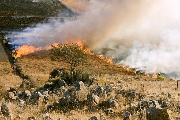 Planning a Move? These 10 American States May Face Increasing Climate Challenges by 2030