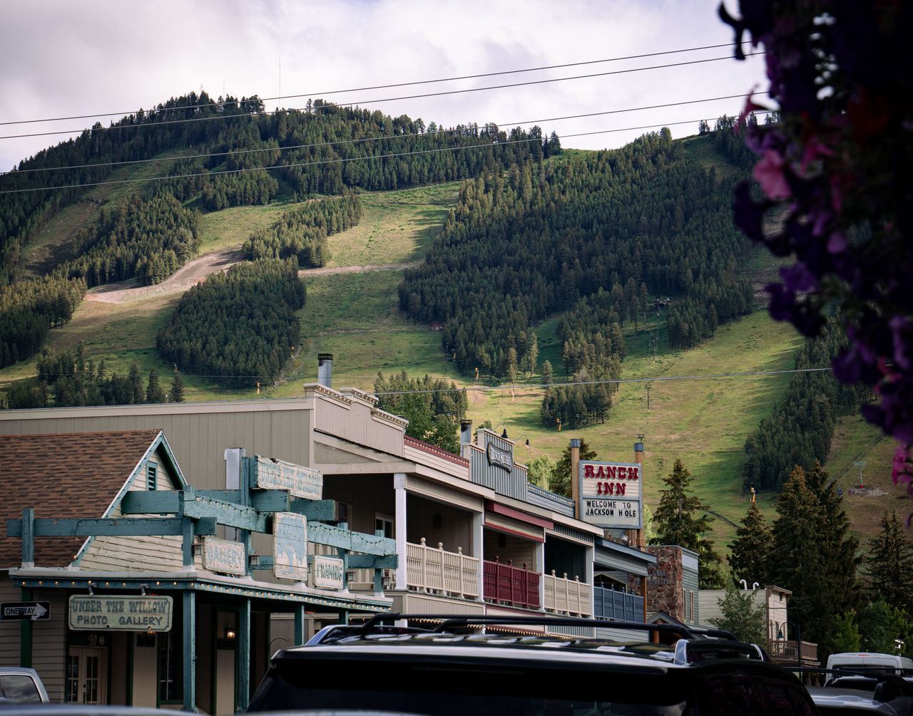 Amaury Michaux/Pexels