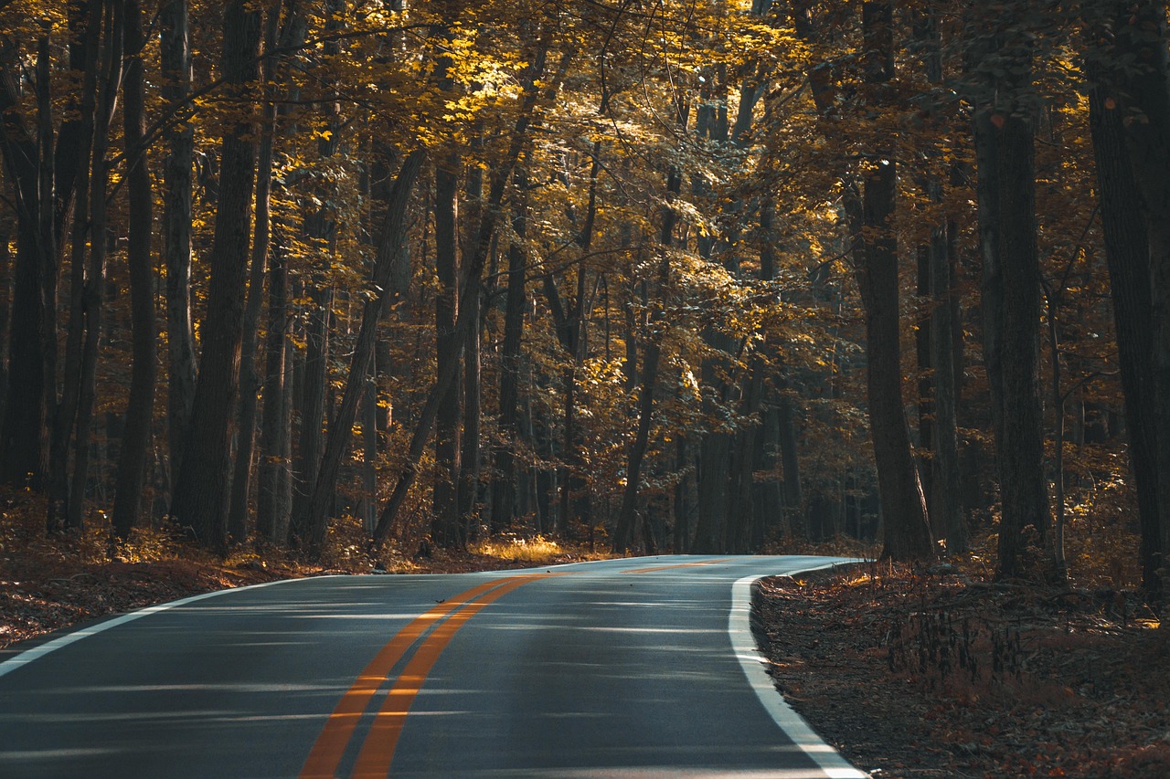Pexels/Pixabay