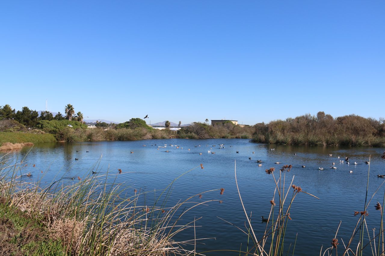 Pacific Southwest Region USFWS from Sacramento, US/Wikimedia Commons