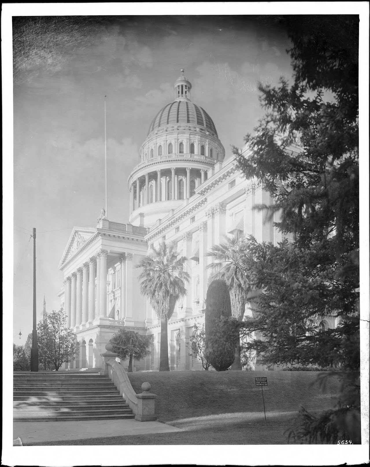 C. C. Pierce/Wikimedia Commons