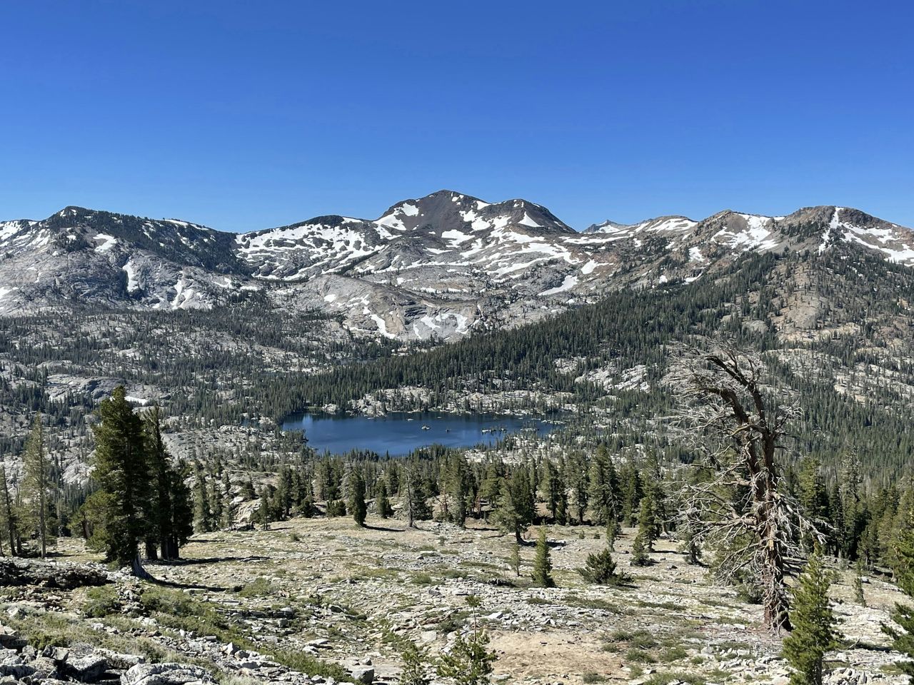 Bret Lowrey/Unsplash