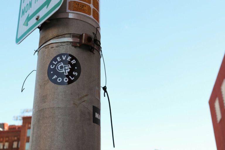 Lawmakers debate flock cameras as hackers share stolen data with media